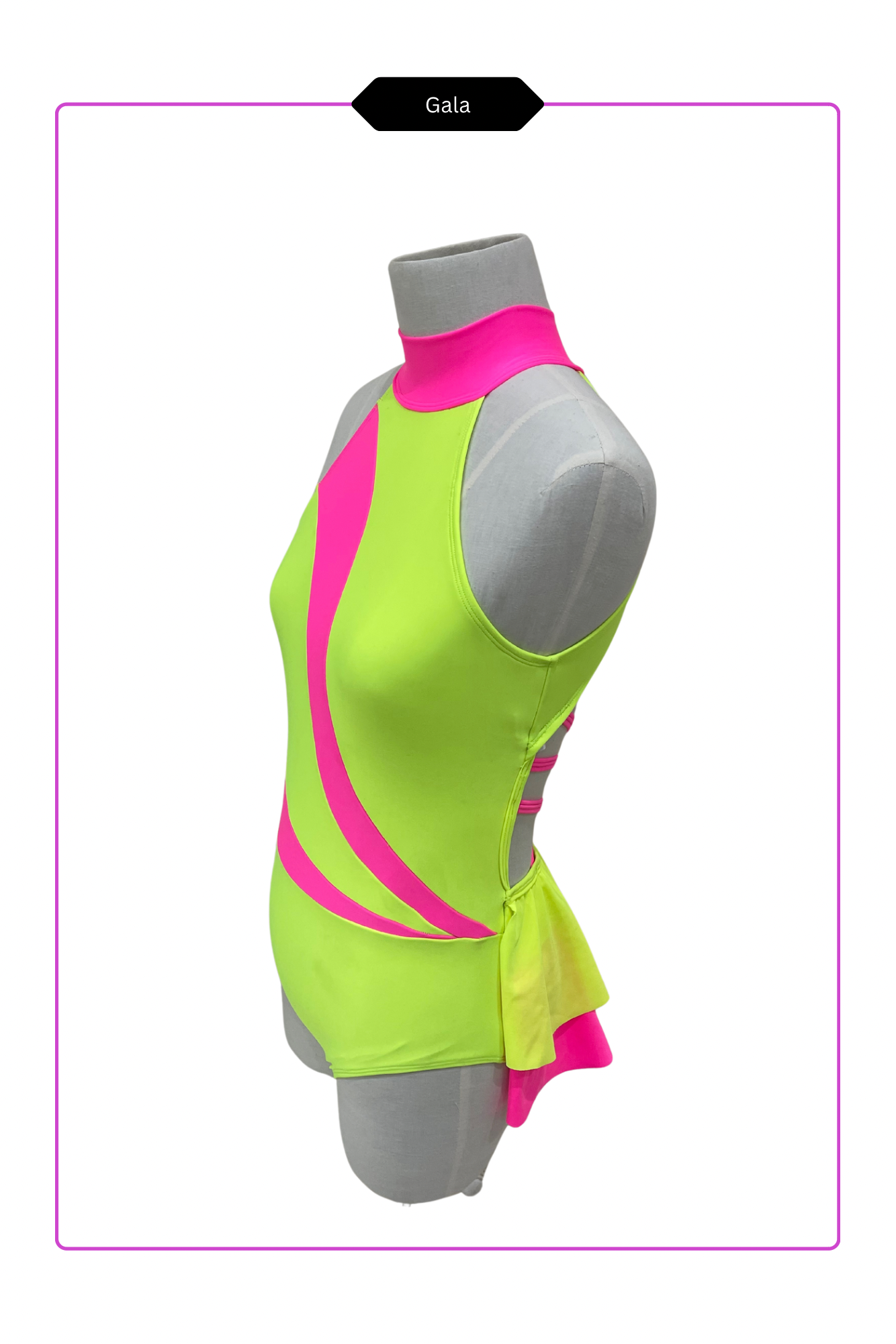 Gala Leotard with skirt