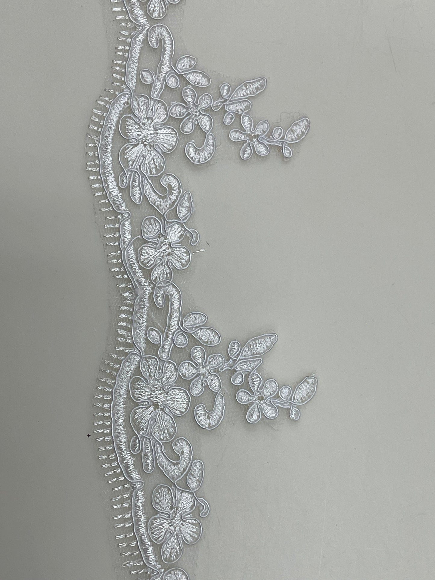 Lace Scallop Border - Olivia Range