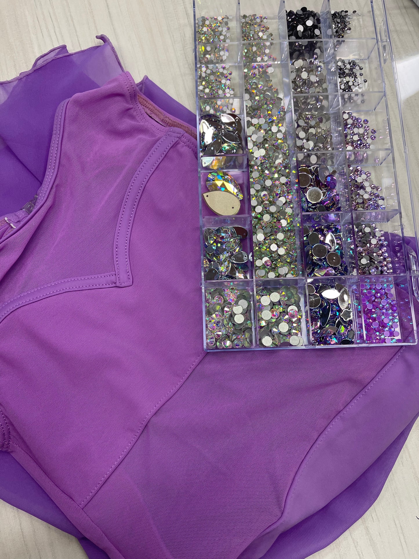 Wisteria Leotard with skirt