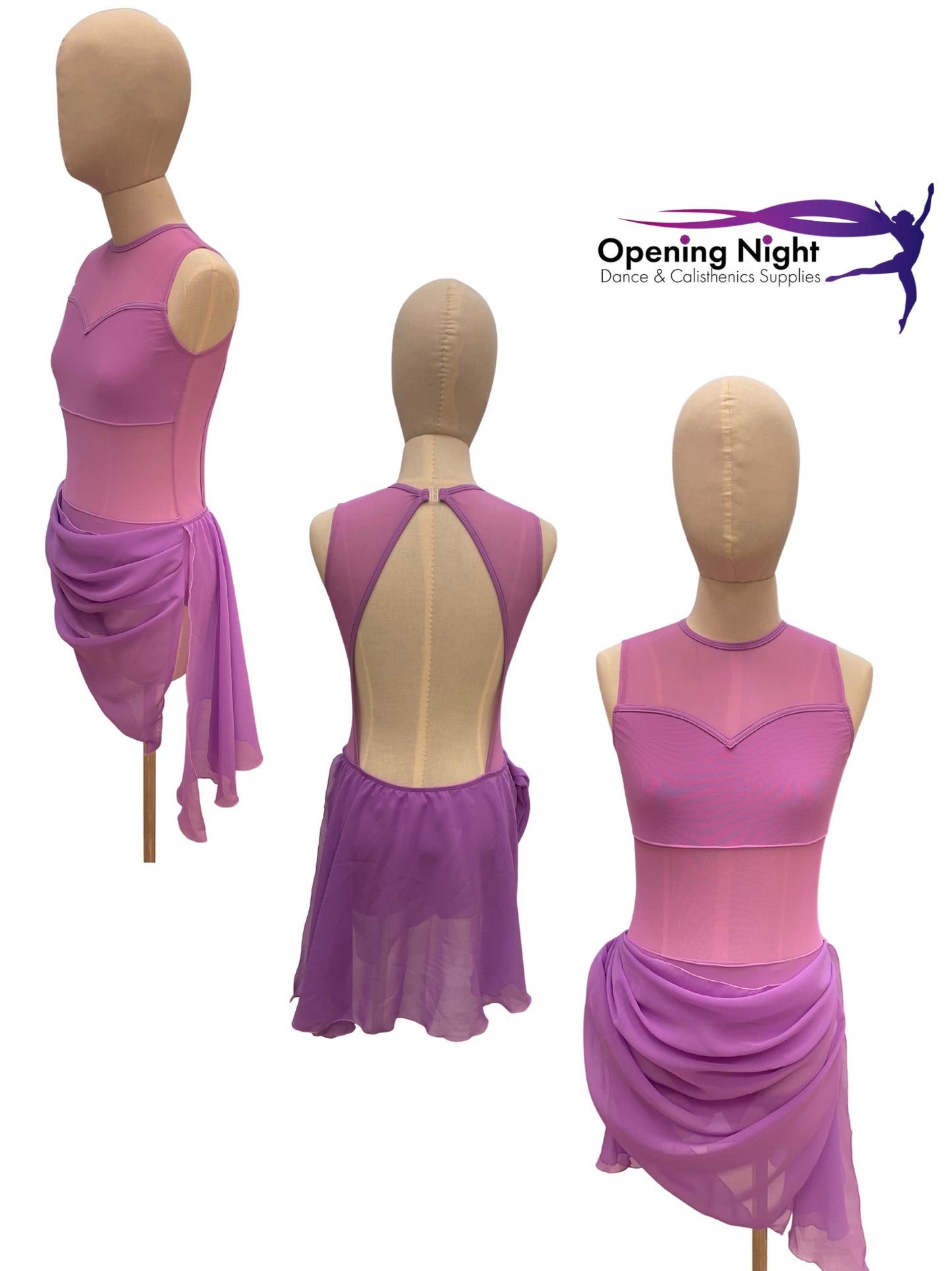 Wisteria Leotard with skirt