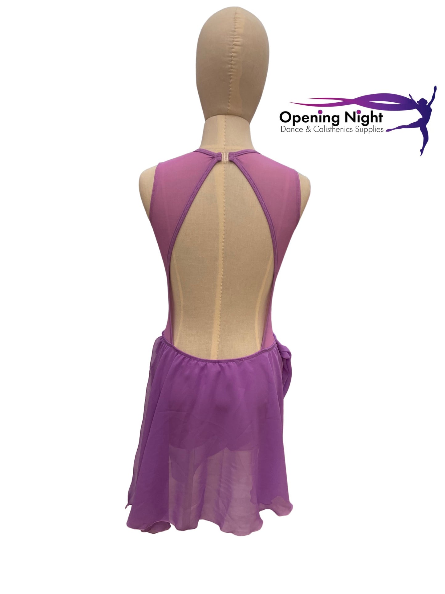 Wisteria Leotard with skirt