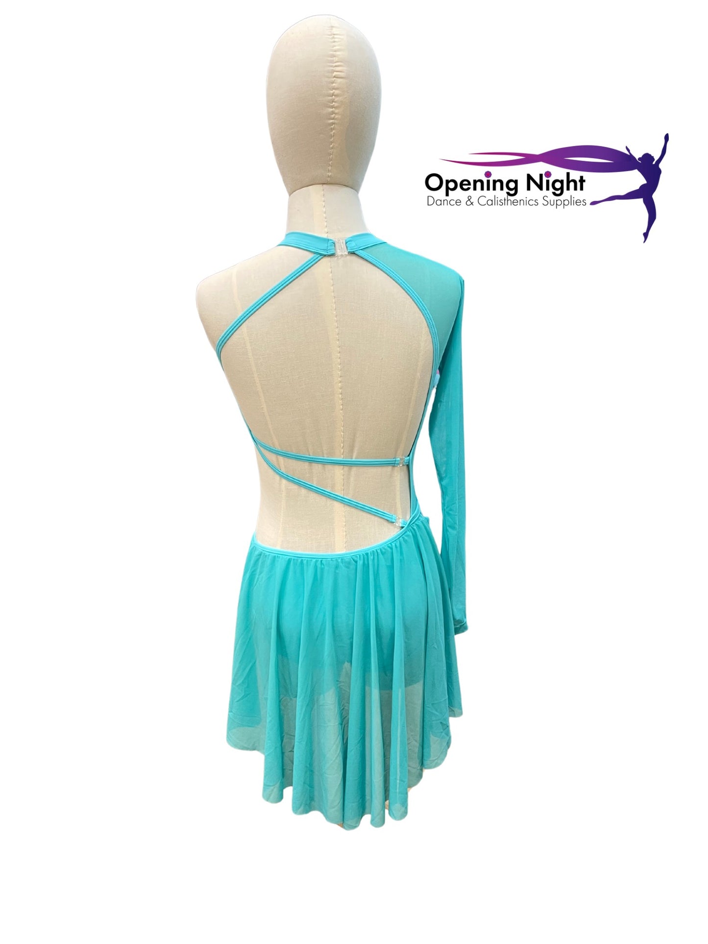 Kailani Leotard with skirt