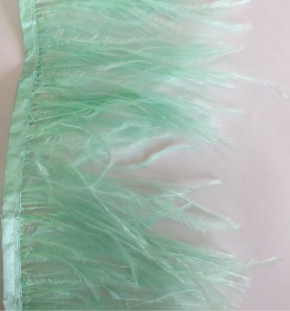 Soft Mint - Ostrich Feather Trim