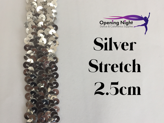 Silver - Stretch Sequin Trim 2.5cm