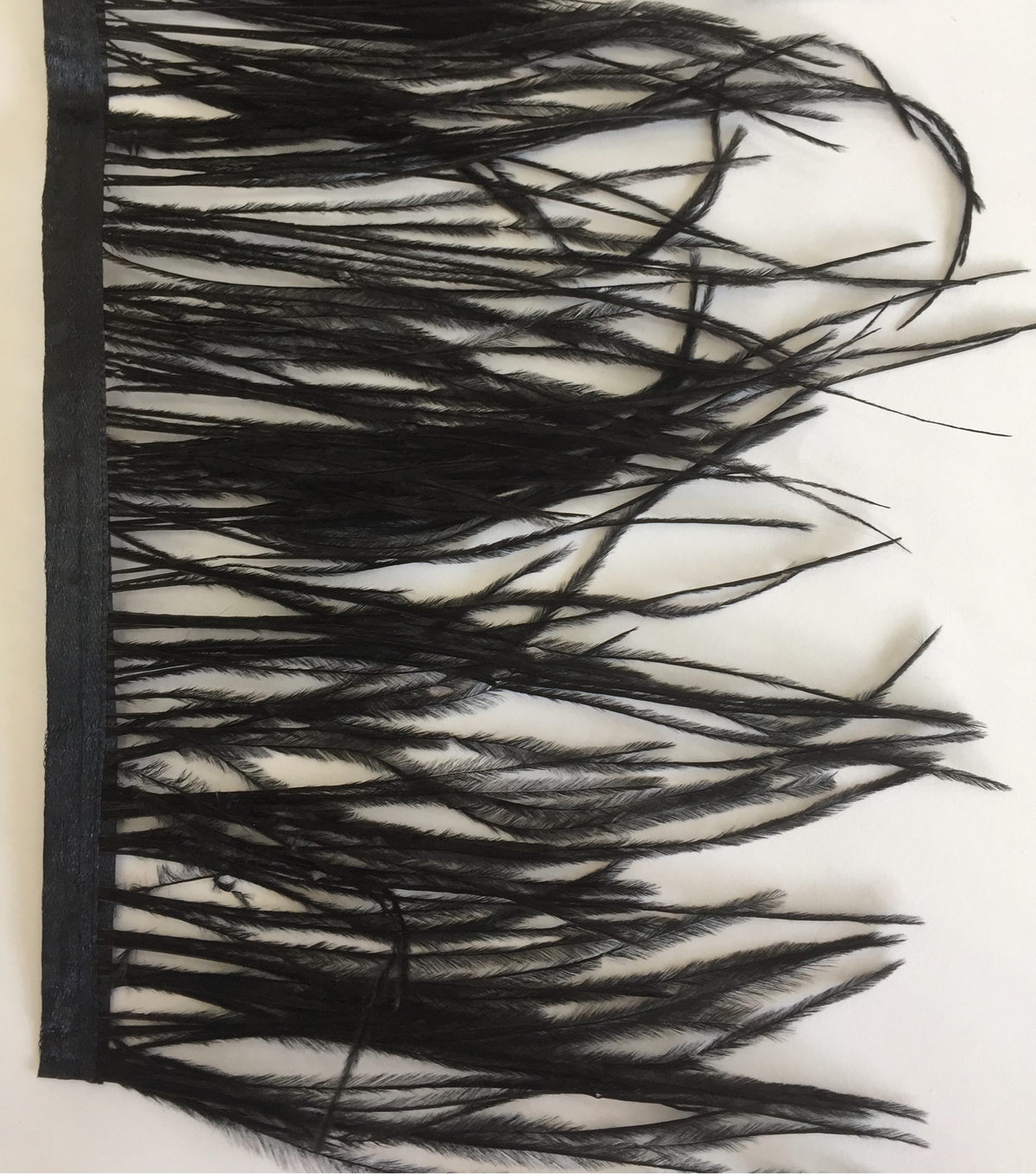 Black - Ostrich Feather Trim