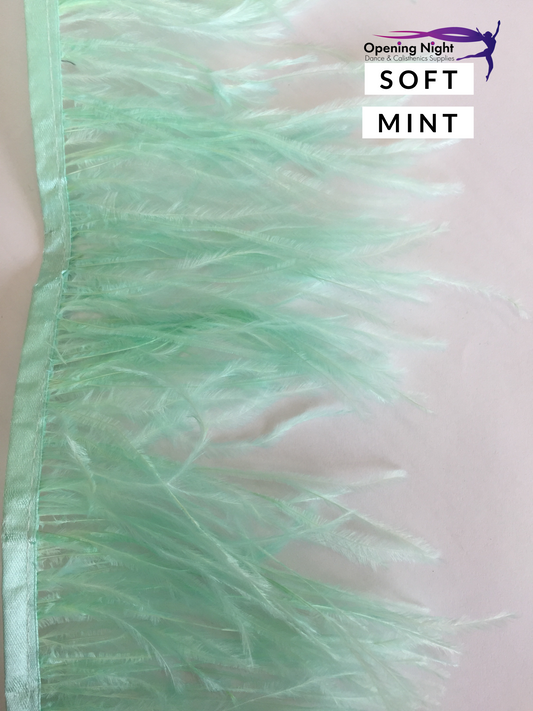 Soft Mint - Ostrich Feather Trim 15cm