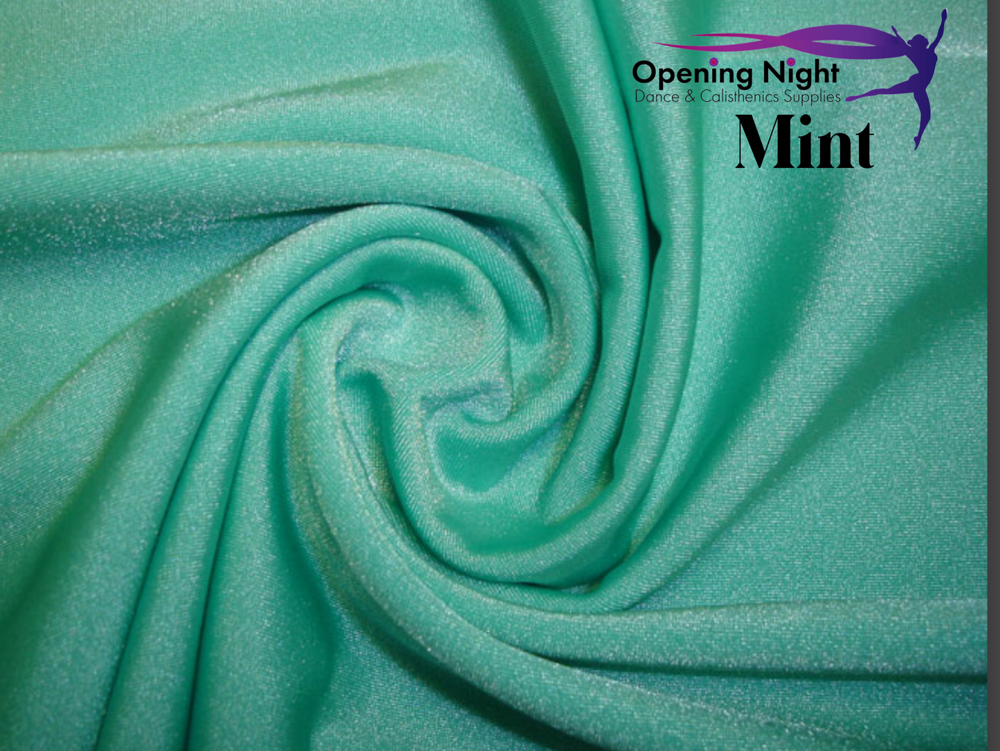 Mint - Shiny Nylon Spandex