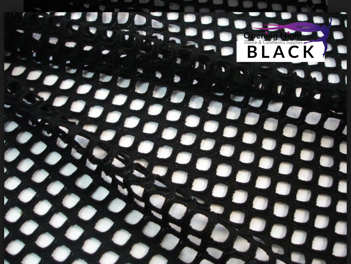 Black - Fishnet Spandex